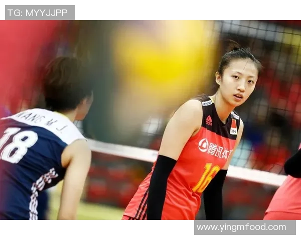 杭州排球队的力量与精神：聚焦排球运动的崛起与发展