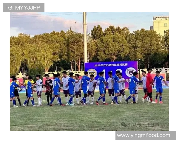 泰州足球明星学校的现状与发展前景探讨